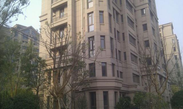 皮都•东方艺墅三期